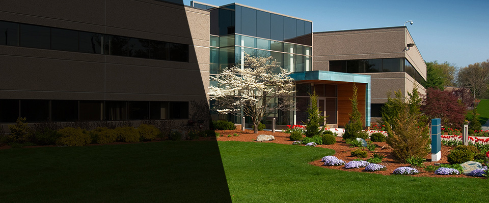 Diamond Springs Landscapers