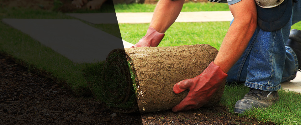 Diamond Springs Landscapers